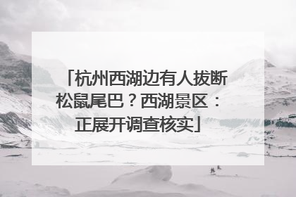 杭州西湖边有人拔断松鼠尾巴？西湖景区：正展开调查核实