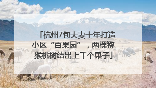 杭州7旬夫妻十年打造小区“百果园”，两棵猕猴桃树结出上千个果子