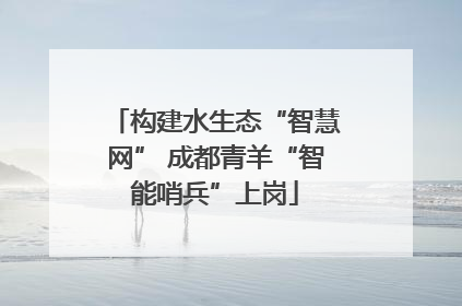 构建水生态“智慧网” 成都青羊“智能哨兵”上岗