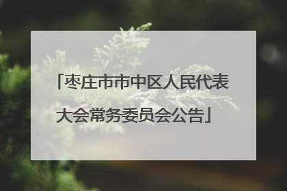 枣庄市市中区人民代表大会常务委员会公告