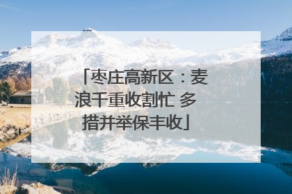 枣庄高新区：麦浪千重收割忙 多措并举保丰收