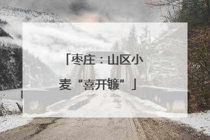 枣庄：山区小麦“喜开镰”