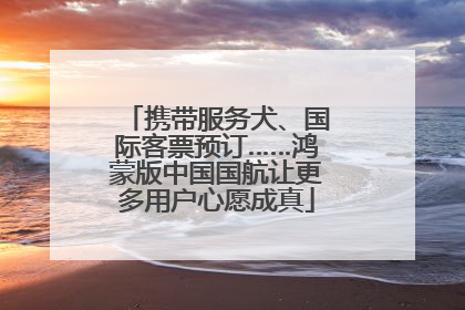 携带服务犬、国际客票预订……鸿蒙版中国国航让更多用户心愿成真