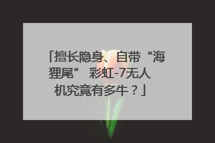 擅长隐身、自带“海狸尾” 彩虹-7无人机究竟有多牛？