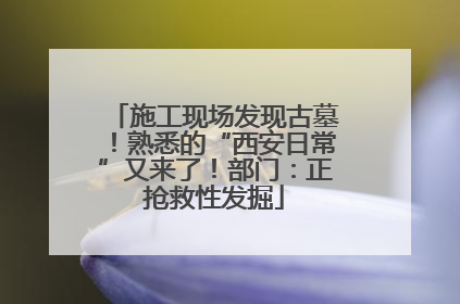 施工现场发现古墓！熟悉的“西安日常”又来了！部门：正抢救性发掘
