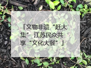 文物非遗“赶大集” 江苏民众共享“文化大餐”