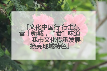 文化中国行 行走东营丨新城，“老”味道——我市文化传承发展擦亮地域特色