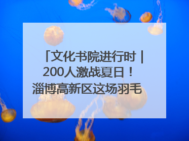 文化书院进行时｜200人激战夏日！淄博高新区这场羽毛球比赛太酷