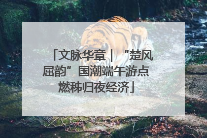 文脉华章｜“楚风屈韵”国潮端午游点燃秭归夜经济