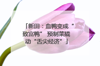 新田：血鸭变成“致富鸭” 预制菜撬动“舌尖经济”