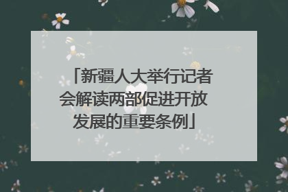 新疆人大举行记者会解读两部促进开放发展的重要条例