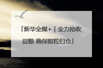 新华全媒+｜全力抢收夏粮 确保颗粒归仓