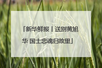 新华鲜报丨送别黄旭华 国士忠魂归故里