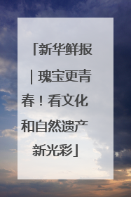 新华鲜报｜瑰宝更青春！看文化和自然遗产新光彩