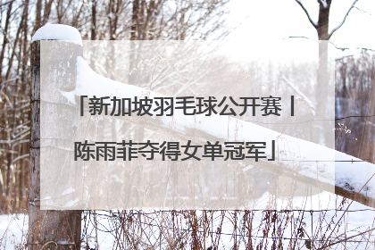 新加坡羽毛球公开赛丨陈雨菲夺得女单冠军