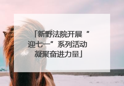 新野法院开展“迎七一”系列活动 凝聚奋进力量