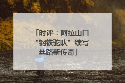 时评：阿拉山口“钢铁驼队”续写丝路新传奇