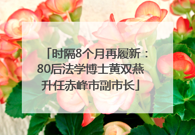 时隔8个月再履新：80后法学博士黄双燕升任赤峰市副市长