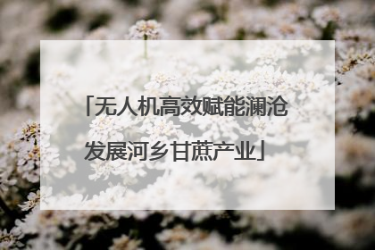 无人机高效赋能澜沧发展河乡甘蔗产业
