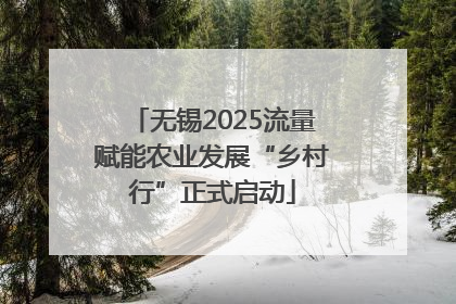 无锡2025流量赋能农业发展“乡村行”正式启动