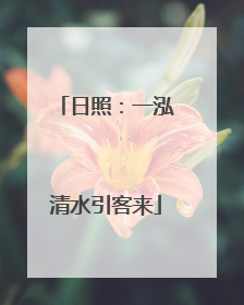 日照：一泓清水引客来