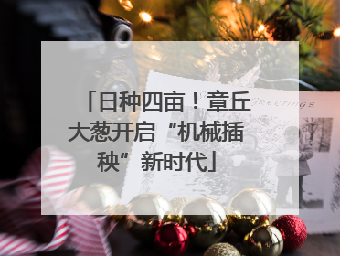 日种四亩！章丘大葱开启“机械插秧”新时代