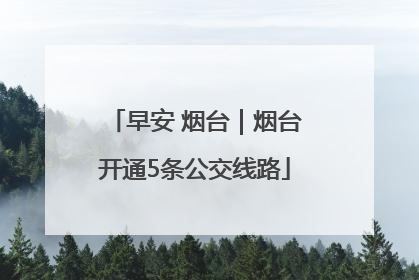 早安 烟台｜烟台开通5条公交线路
