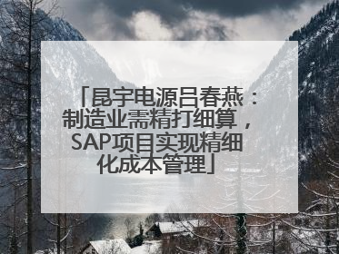 昆宇电源吕春燕：制造业需精打细算，SAP项目实现精细化成本管理