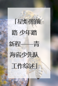 星炬照前路 少年踏新程——青海省少先队工作综述