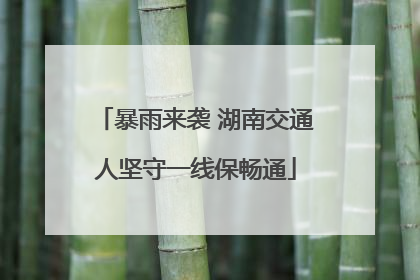 暴雨来袭 湖南交通人坚守一线保畅通