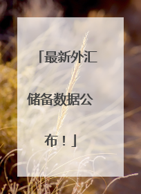 最新外汇储备数据公布！