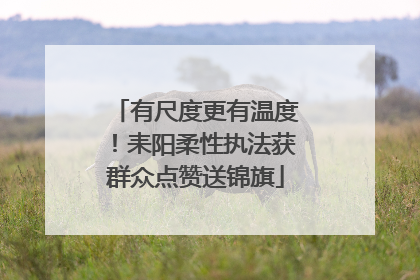 有尺度更有温度！耒阳柔性执法获群众点赞送锦旗
