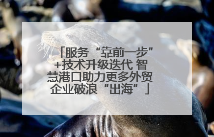 服务“靠前一步”+技术升级迭代 智慧港口助力更多外贸企业破浪“出海”
