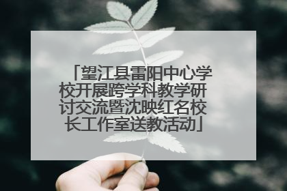 望江县雷阳中心学校开展跨学科教学研讨交流暨沈映红名校长工作室送教活动