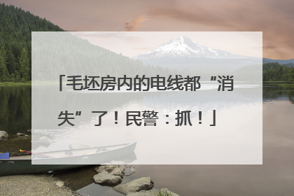 毛坯房内的电线都“消失”了！民警：抓！