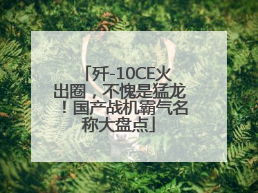 歼-10CE火出圈，不愧是猛龙！国产战机霸气名称大盘点