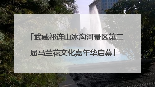 武威祁连山冰沟河景区第二届马兰花文化嘉年华启幕