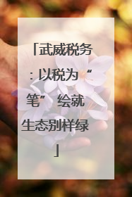 武威税务：以税为“笔” 绘就生态别样绿