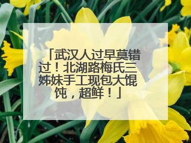 武汉人过早莫错过！北湖路梅氏三姊妹手工现包大馄饨，超鲜！