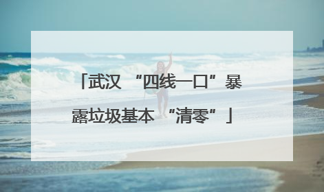 武汉 “四线一口”暴露垃圾基本 “清零”