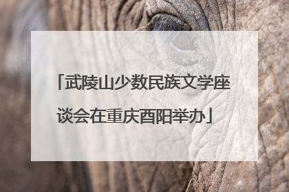 武陵山少数民族文学座谈会在重庆酉阳举办