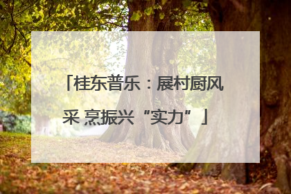 桂东普乐：展村厨风采 烹振兴“实力”