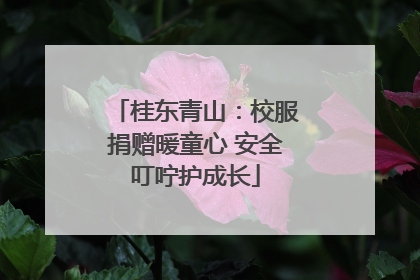 桂东青山：校服捐赠暖童心 安全叮咛护成长