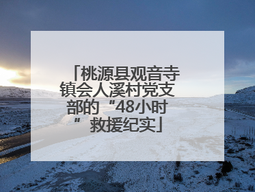 桃源县观音寺镇会人溪村党支部的“48小时”救援纪实