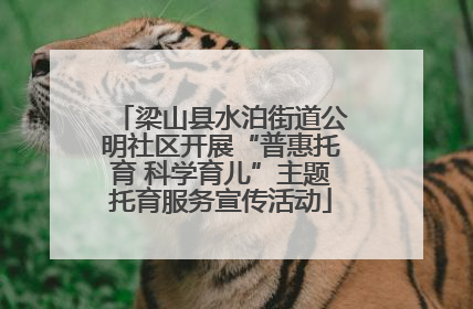 梁山县水泊街道公明社区开展“普惠托育 科学育儿”主题托育服务宣传活动