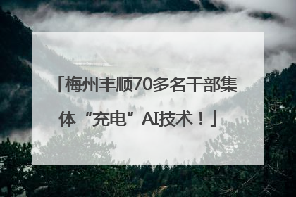 梅州丰顺70多名干部集体“充电”AI技术！