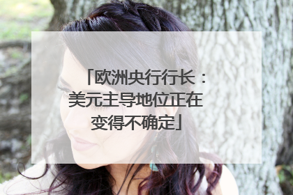 欧洲央行行长：美元主导地位正在变得不确定