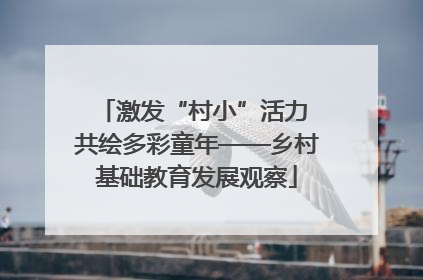 激发“村小”活力 共绘多彩童年——乡村基础教育发展观察