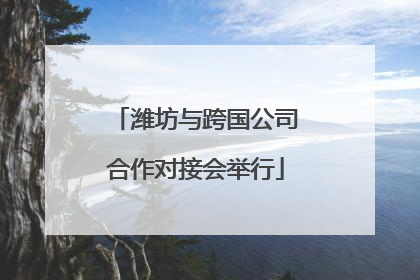 潍坊与跨国公司合作对接会举行