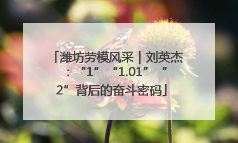 潍坊劳模风采｜刘英杰：“1”“1.01”“2”背后的奋斗密码